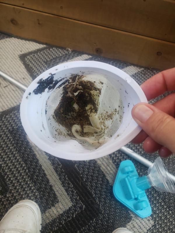 Photo - commentaire 7.