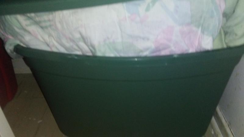 Review photo 4.