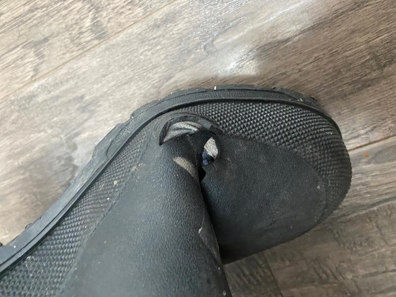 Photo - commentaire 8.