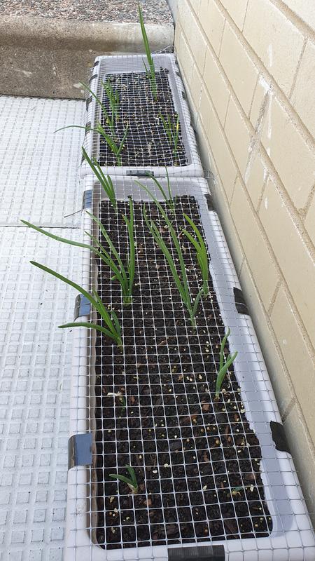 Photo - commentaire&nbsp;6.