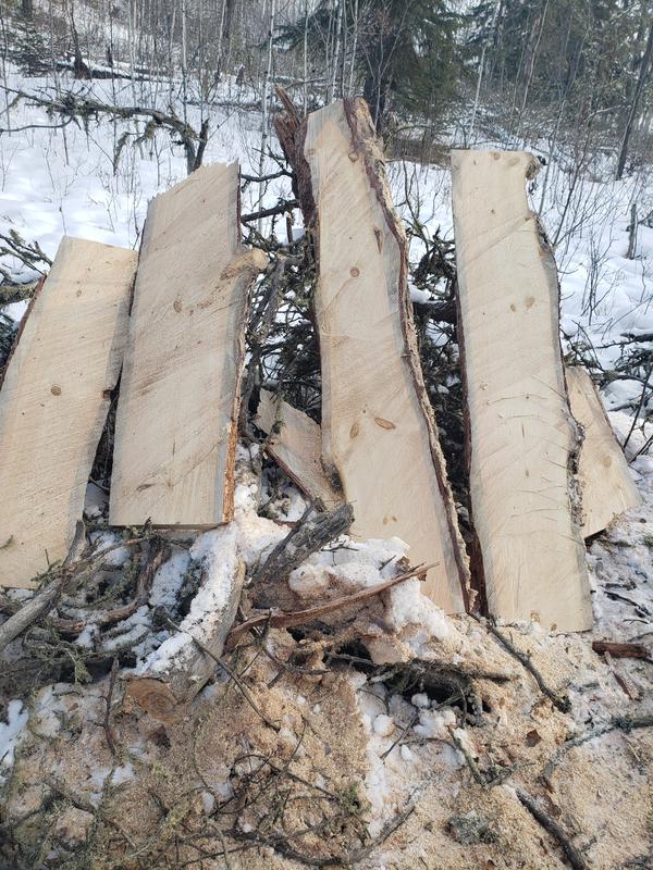 Photo - commentaire&nbsp;1.