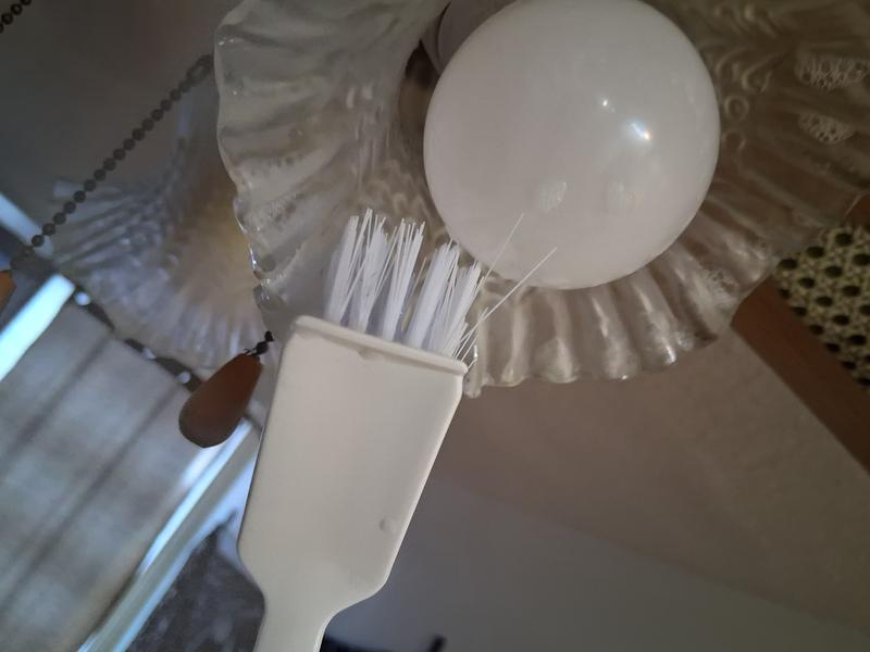 Scrub Brushes works with Dawn.