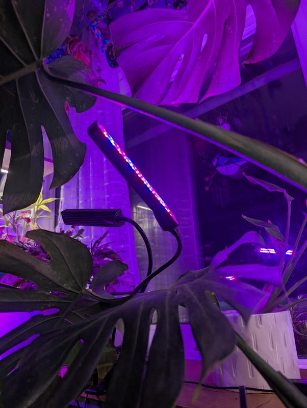 Photo - commentaire&nbsp;8.