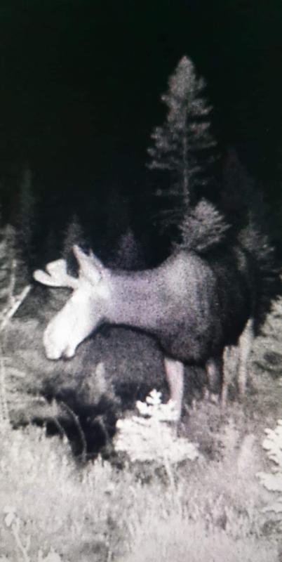 Photo - commentaire&nbsp;1.