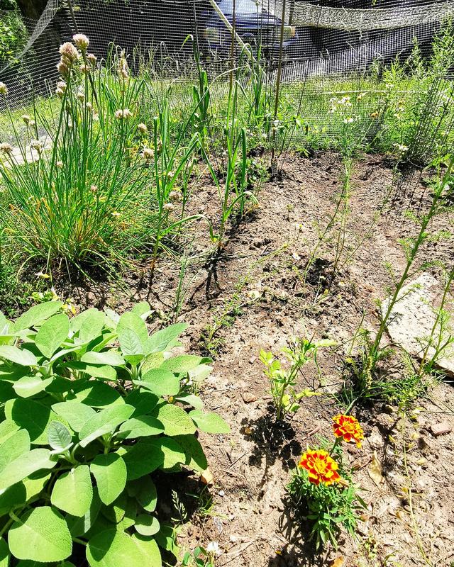 Photo - commentaire&nbsp;3.