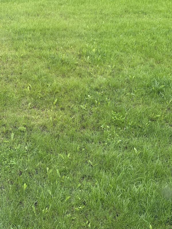 Photo - commentaire 1.