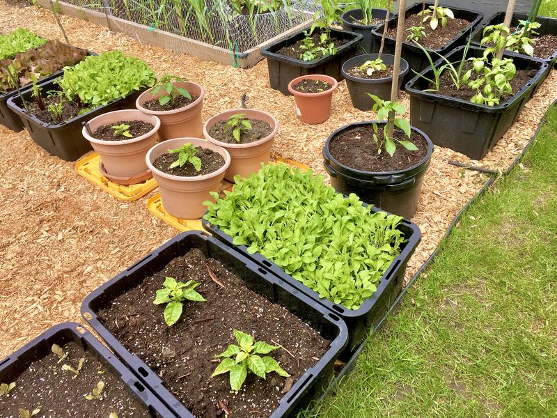 Photo - commentaire 5.