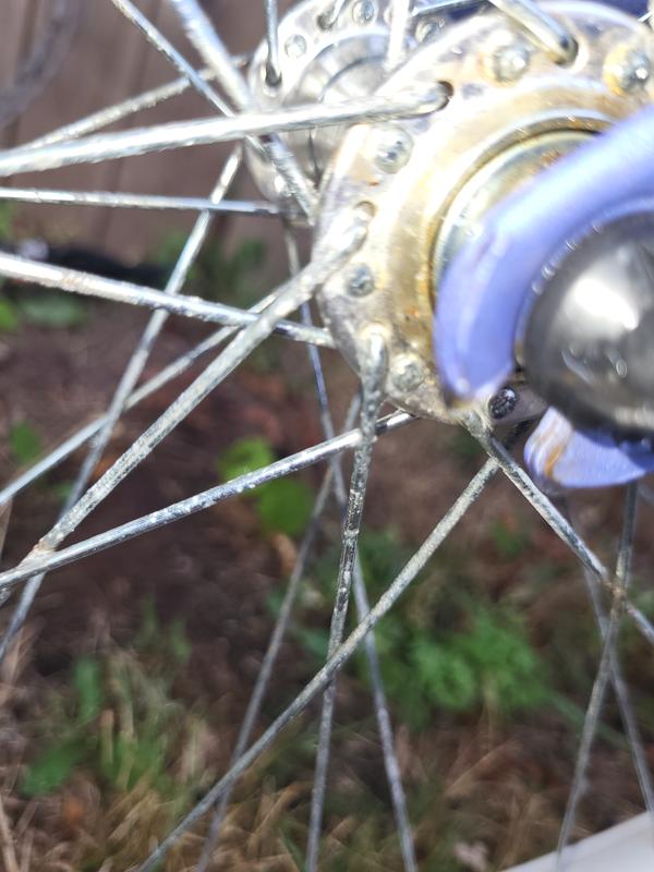 Practically brand new bike with rust and oxidation--I'd expect more from Raleigh racing.