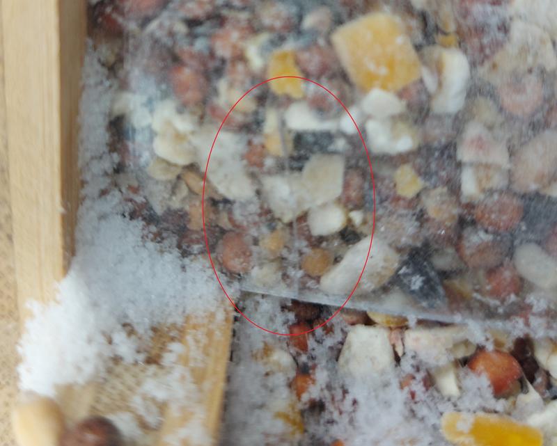 Yet another crack (pardon the blurry photo)