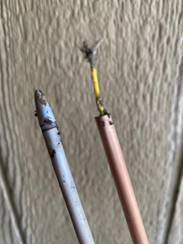 Photo - commentaire 2.