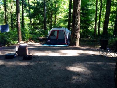 Elk Fall, Campbell River BC