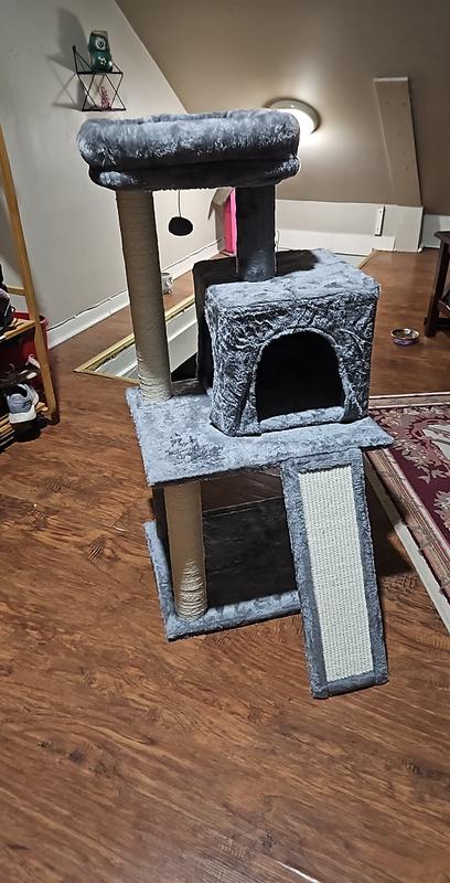 Photo - commentaire&nbsp;2.