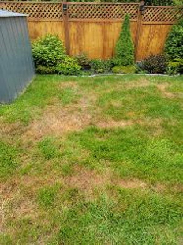 Photo - commentaire 8.