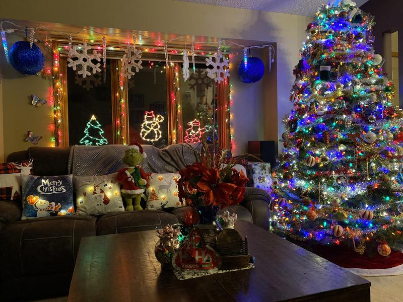 Photo - commentaire 2