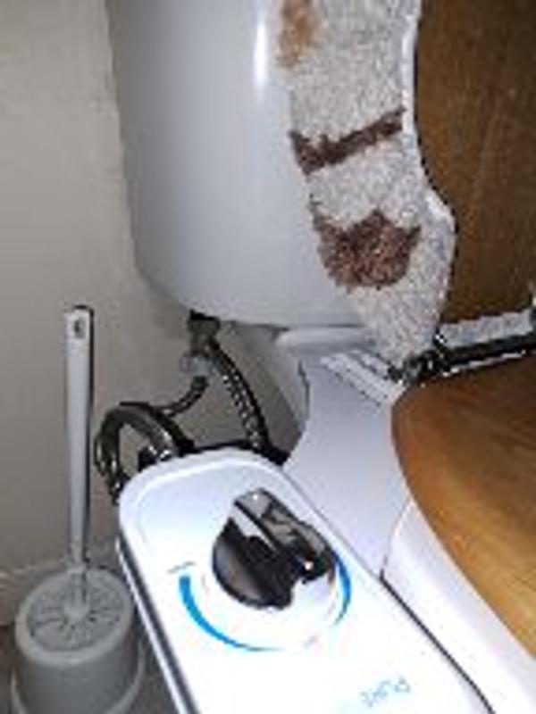 Photo - commentaire&nbsp;1.