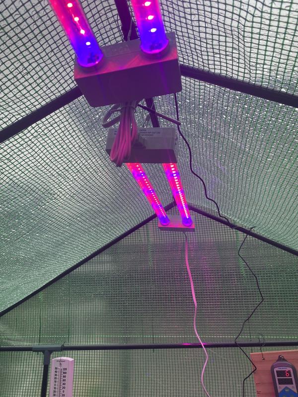 Photo - commentaire&nbsp;1.