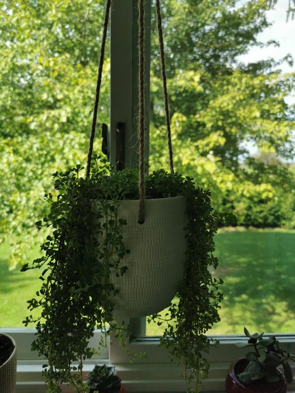 Photo - commentaire 4.