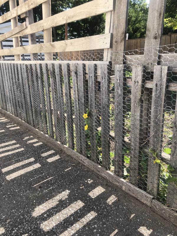 Photo - commentaire 2.