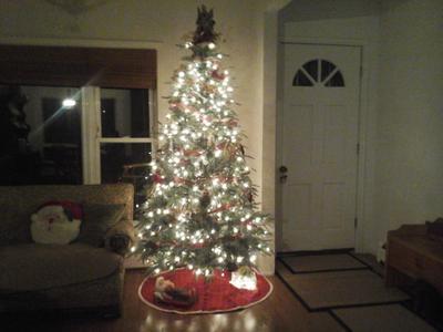 Photo - commentaire&nbsp;3.