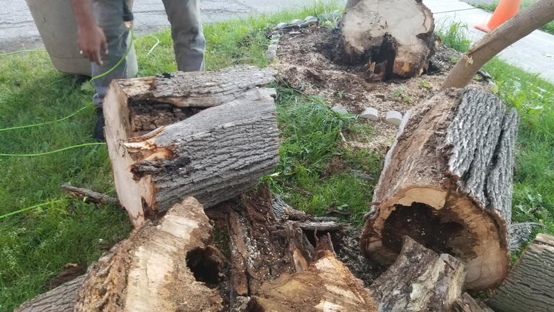 Photo - commentaire&nbsp;2.