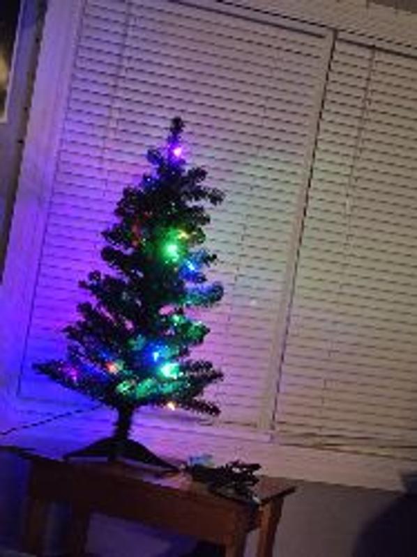 Photo - commentaire 2.