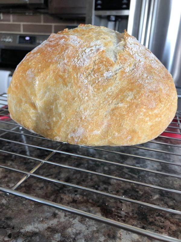 Photo - commentaire 8.