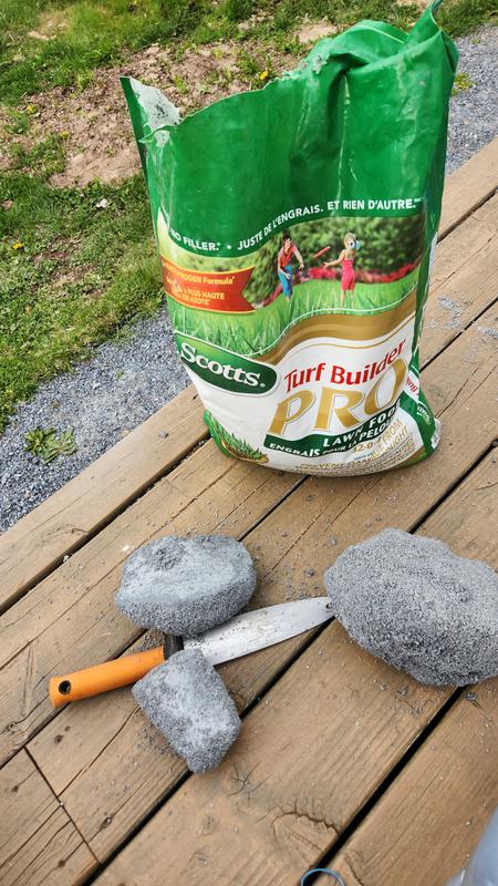 Photo - commentaire 4.