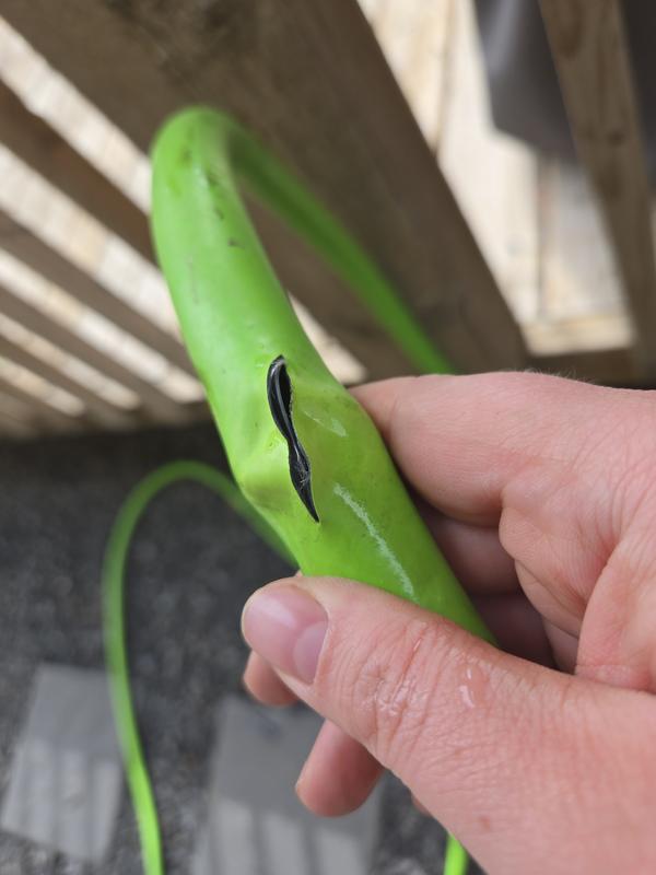 Photo - commentaire&nbsp;1.