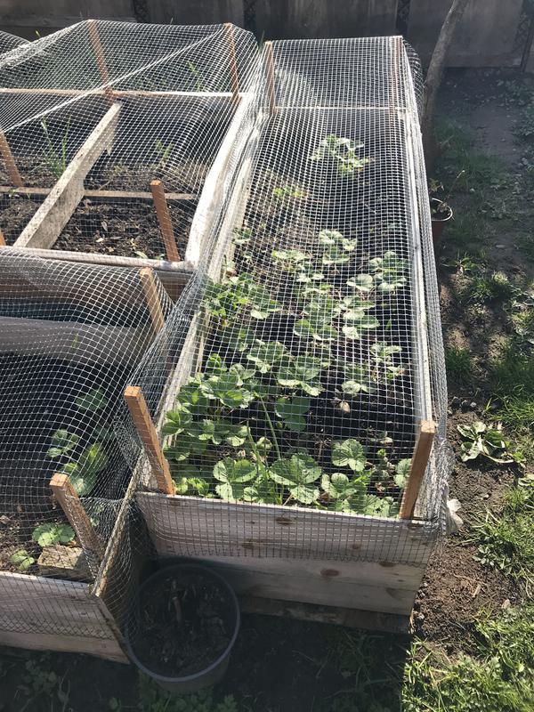 Photo - commentaire&nbsp;7.