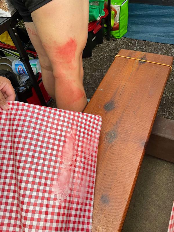 Photo - commentaire 6.