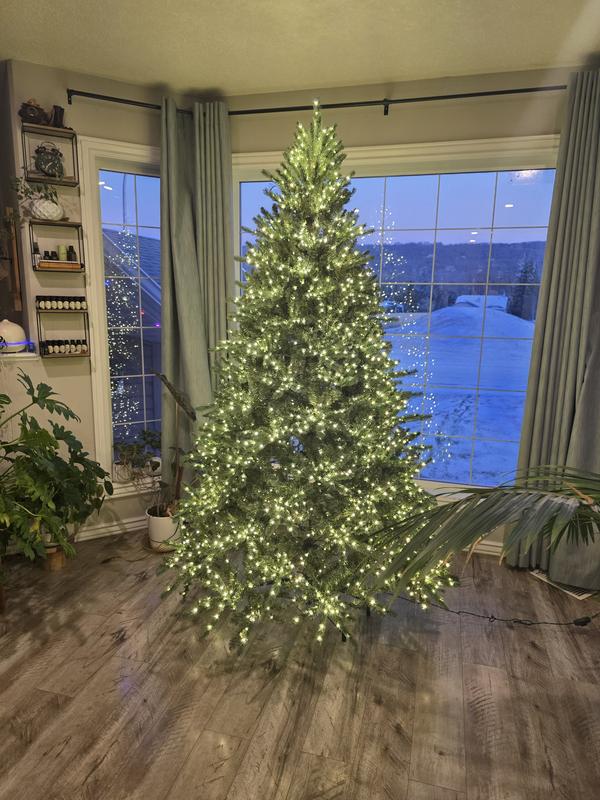 Photo - commentaire 6.