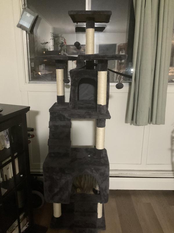 Photo - commentaire&nbsp;1.