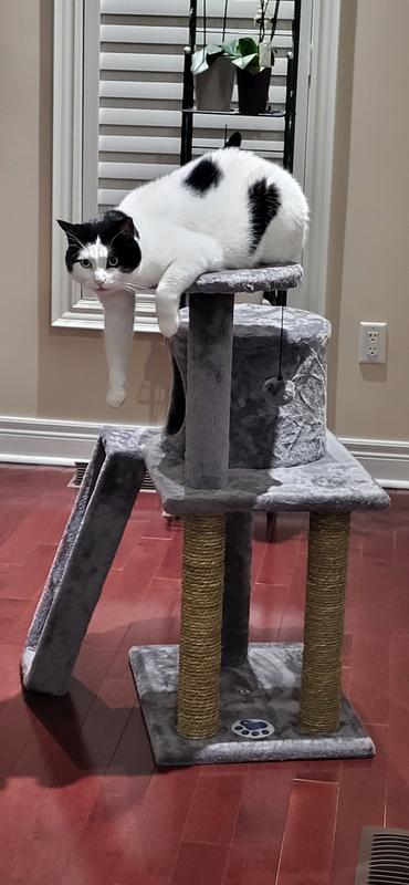 Just lounging about