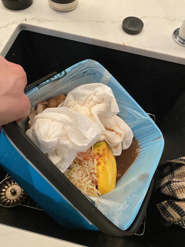 Water in collection bins