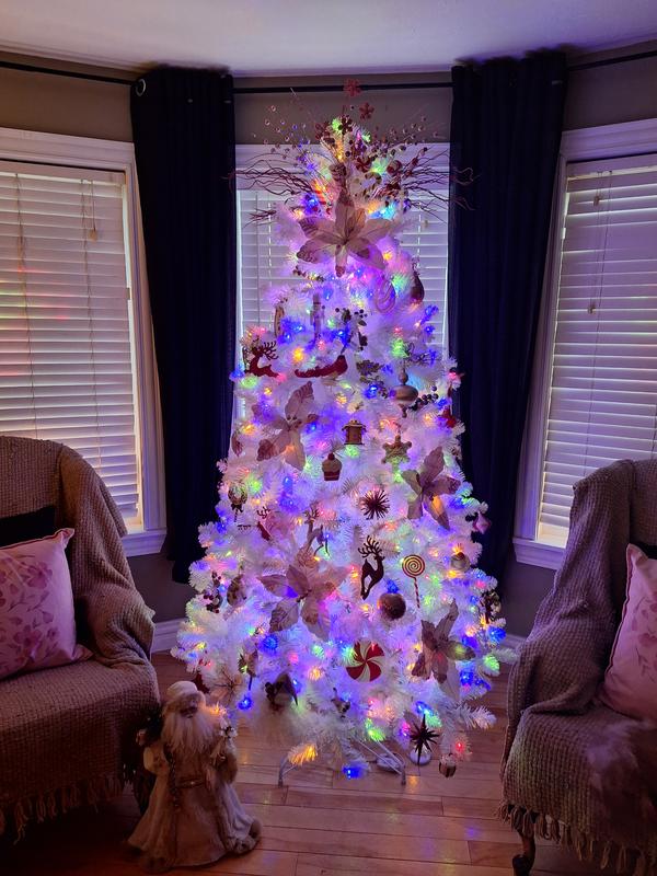 Photo - commentaire 4.