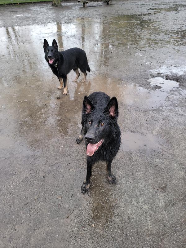 Photo - commentaire&nbsp;2.