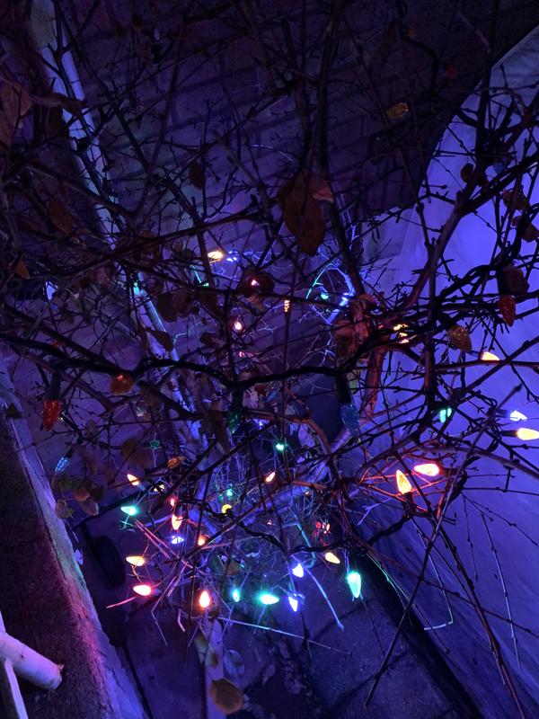 Half the lights stopped working.