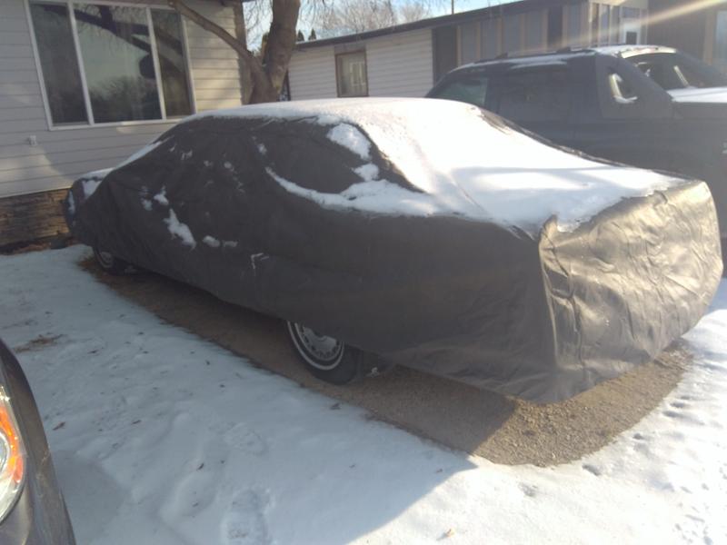 Photo - commentaire&nbsp;2.