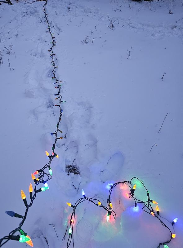 Photo - commentaire&nbsp;5.