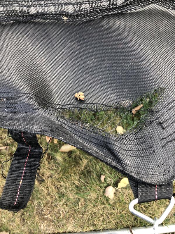 Photo - commentaire&nbsp;6.