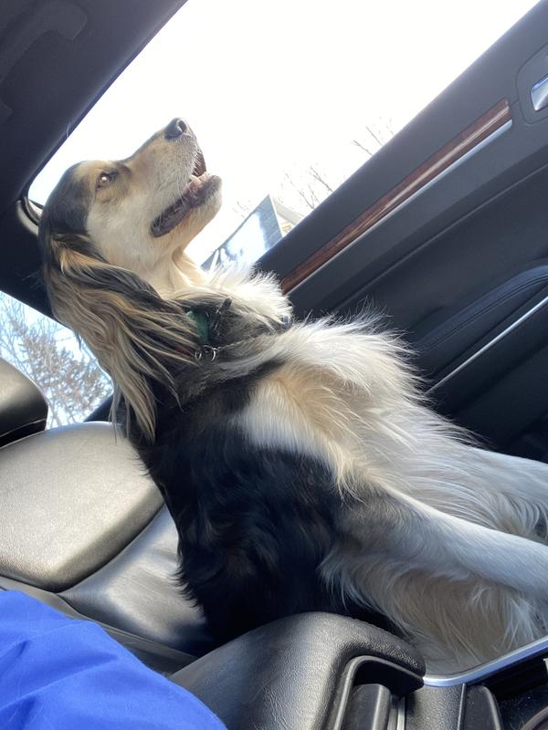 Photo - commentaire&nbsp;1.