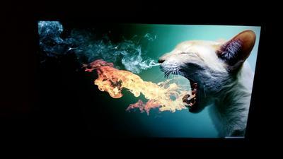 Color balance and contrast are impeccable.