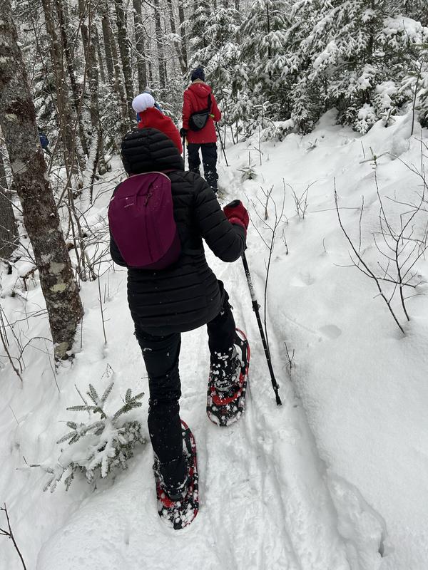 Winter magic on snowshoes