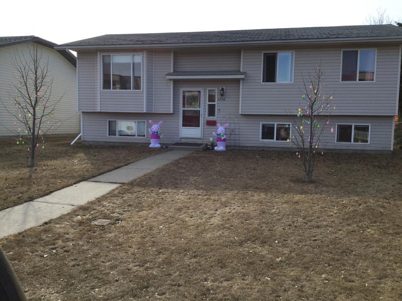 Photo - commentaire 3