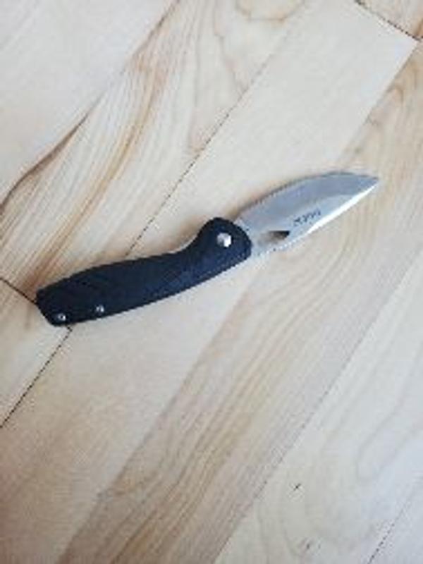 Photo - commentaire 3.