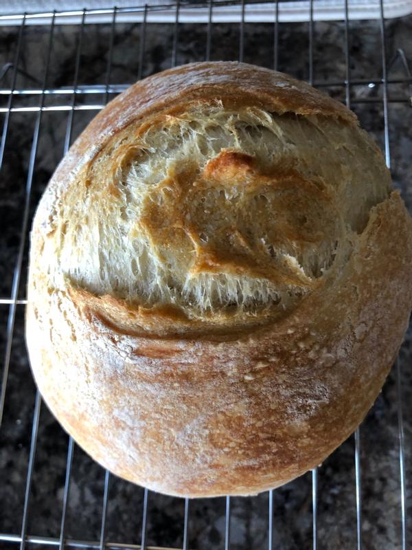 Photo - commentaire 7.