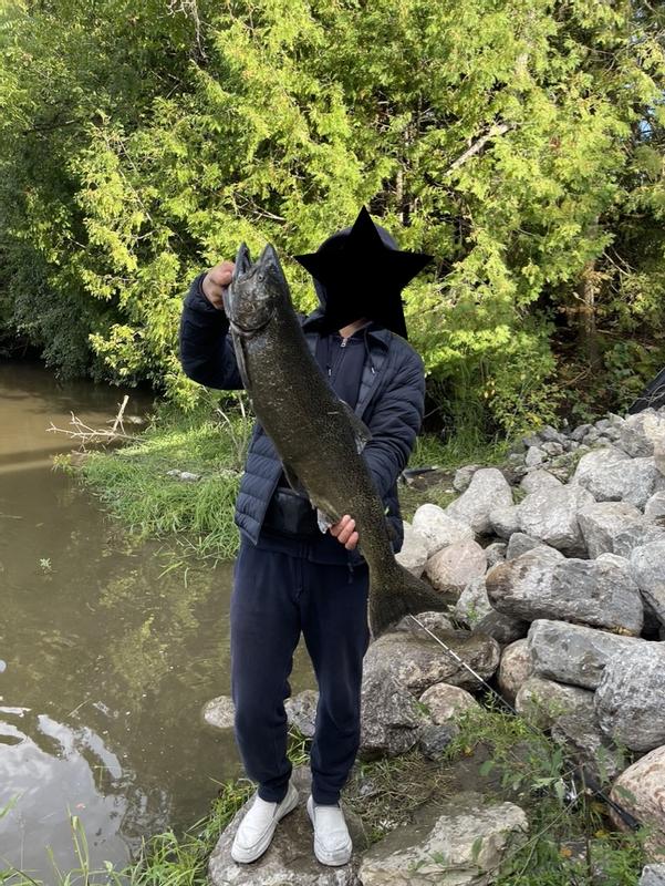 Photo - commentaire&nbsp;1.