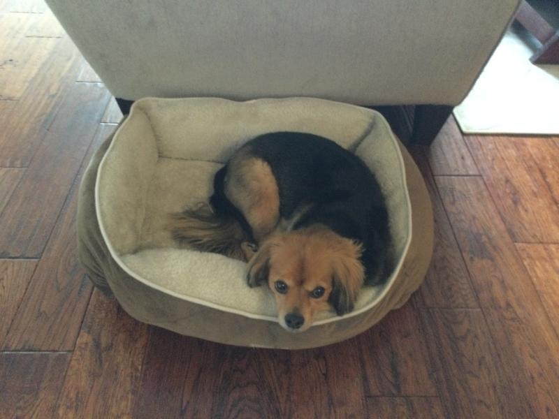 Photo - commentaire&nbsp;1.