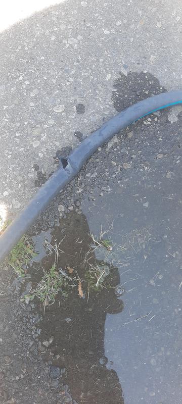 Photo - commentaire 2.