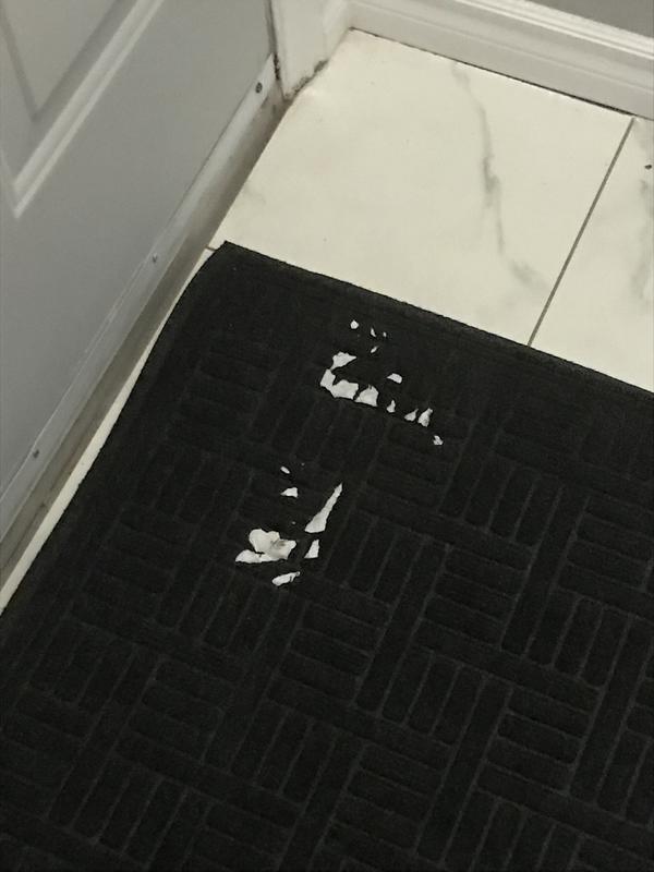 Photo - commentaire 2.